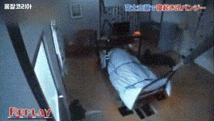 일본의 몰카촌