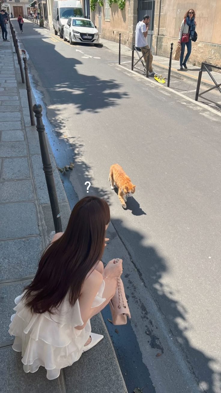 봄이구나