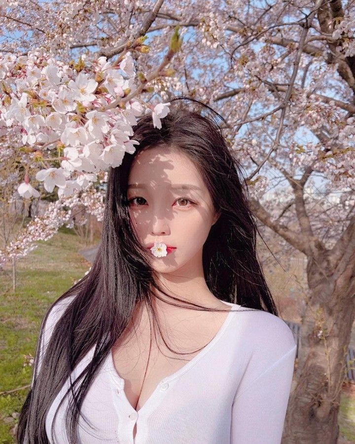 벚꽃아래에서