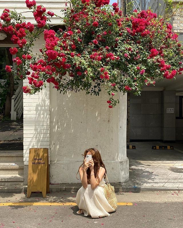 봄 느낌나는사진