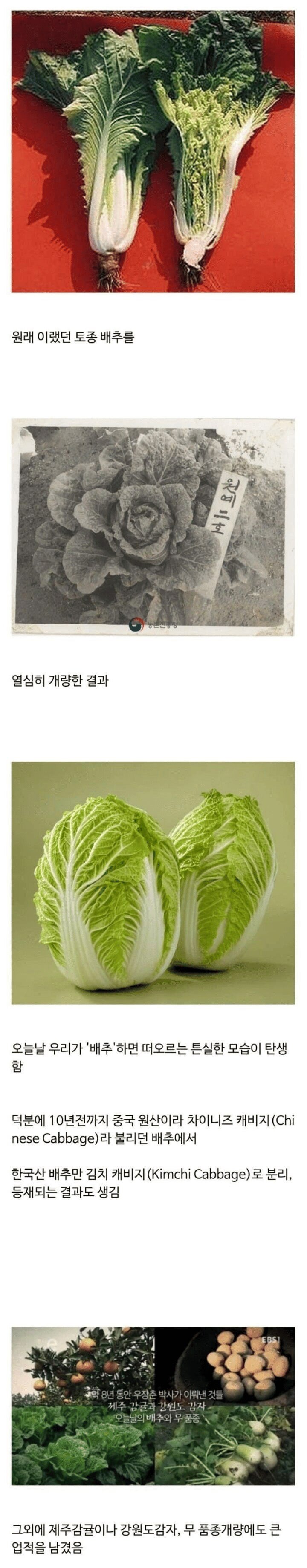 농학자 우장춘 박사의 진짜 업적