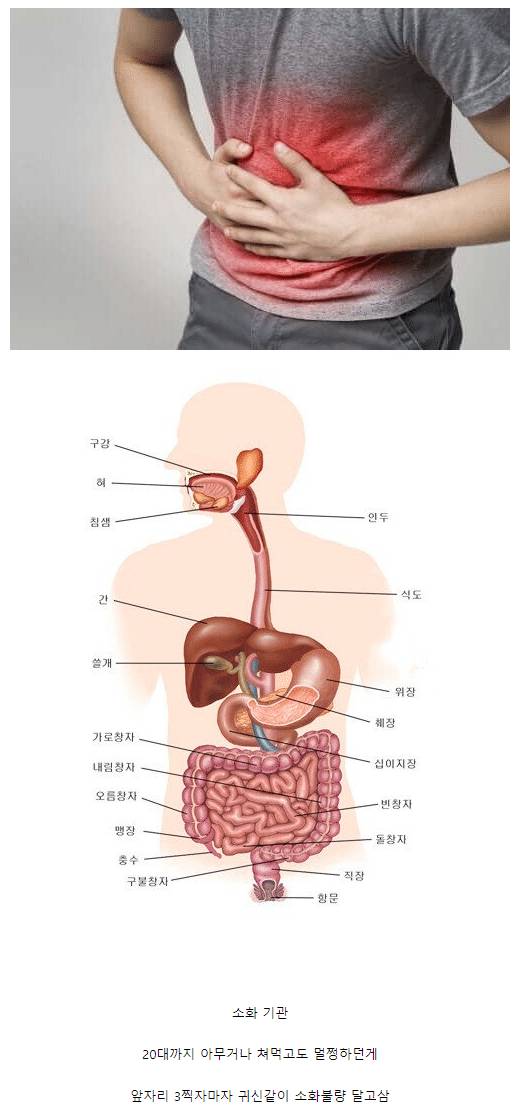 30살부터 갑자기 ㅈ되는 곳.jpg