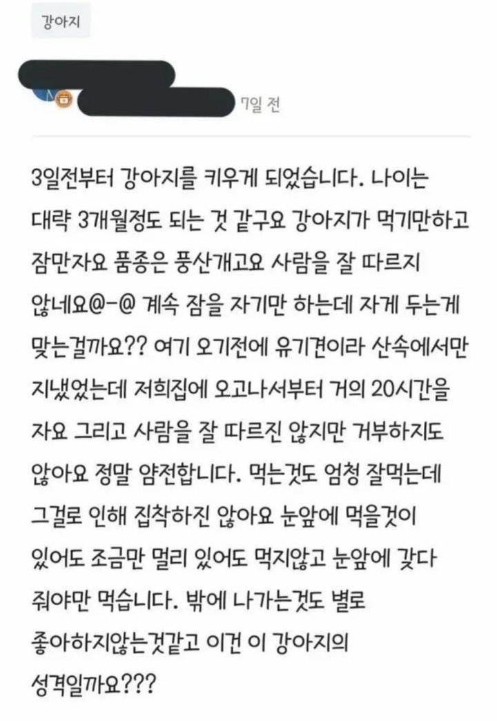 강아지가 너무 자서 고민 ㄷㄷ....jpg