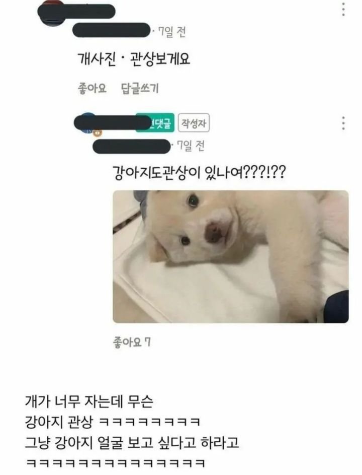 강아지가 너무 자서 고민 ㄷㄷ....jpg-3