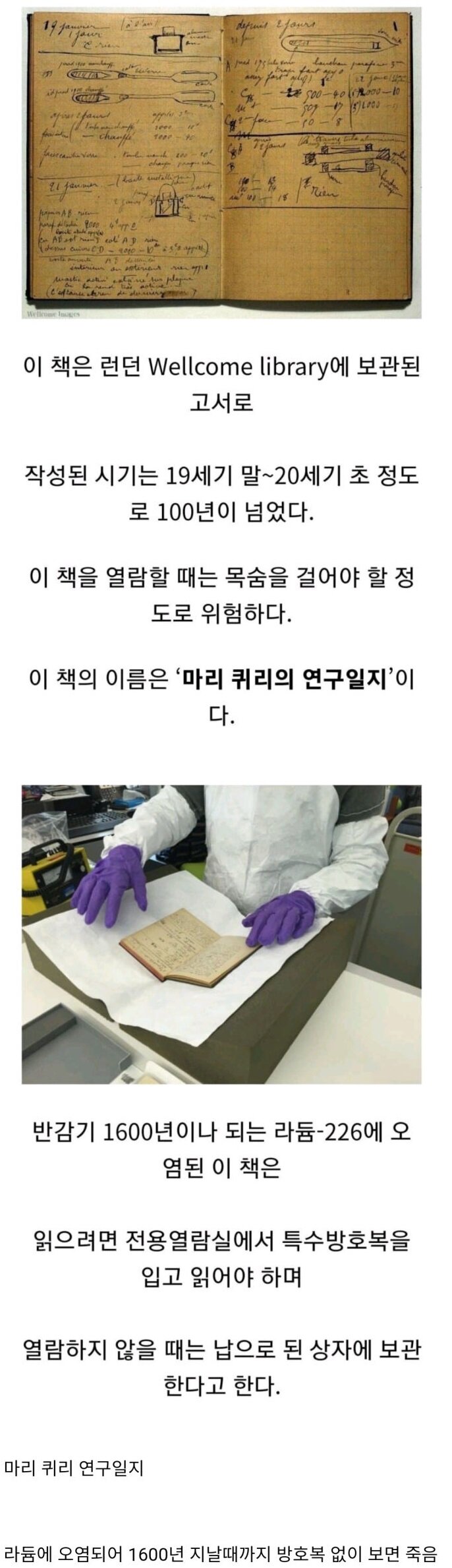 세상에서 가장 위험한 책