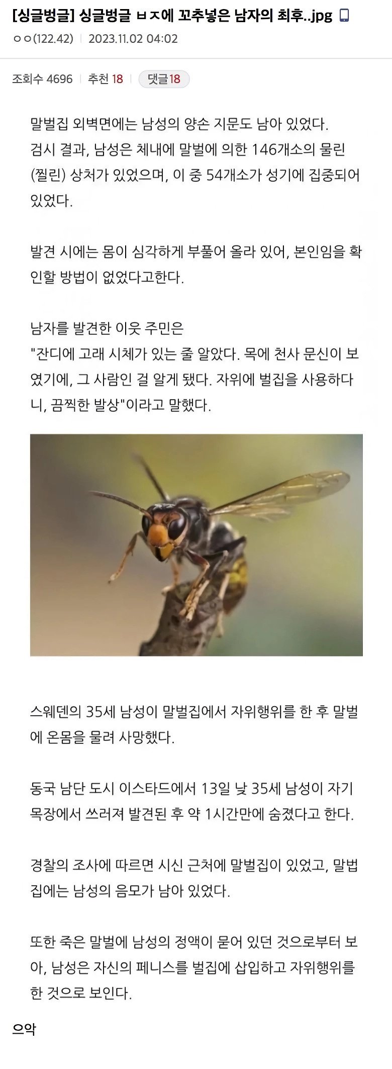 ㅂㅈ에 ㅈㅈ박기