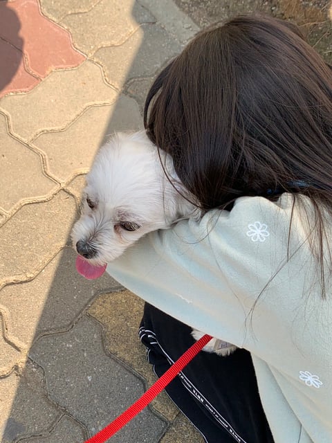 초딩에게 번호 따인 썰-4