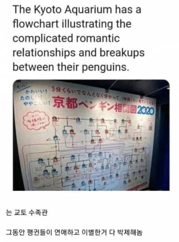 사내 연애 관계를 박제 해놓은 회사 ㄷㄷㄷ.jpg