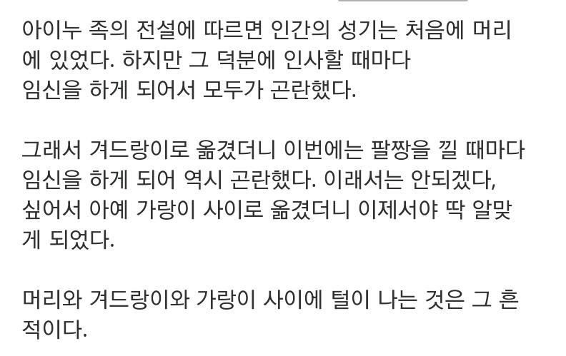 사람 성기의 비밀