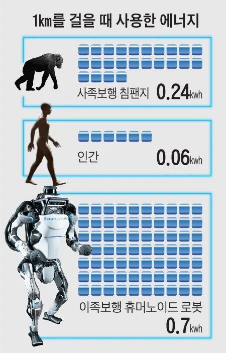 걷기로 살빼기 힘든 이유.