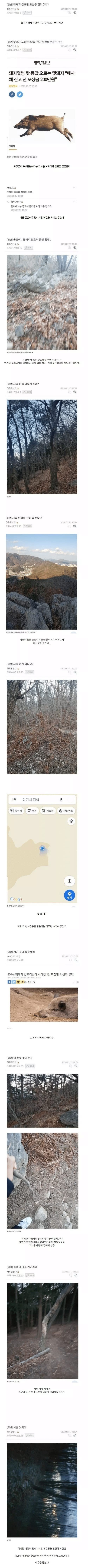 200만원 벌려다가 죽을 뻔한 디시인ㄷㄷ jpg.