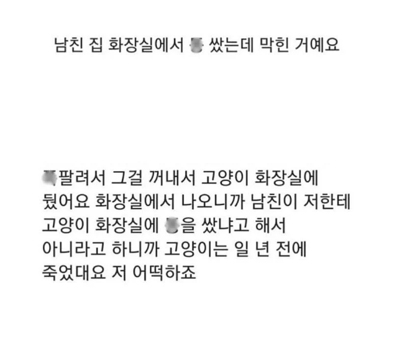남친집에서 똥을 쌌는데 변기가 막혀서