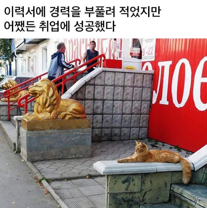 이력서 뻥튀기 해서 취업성공