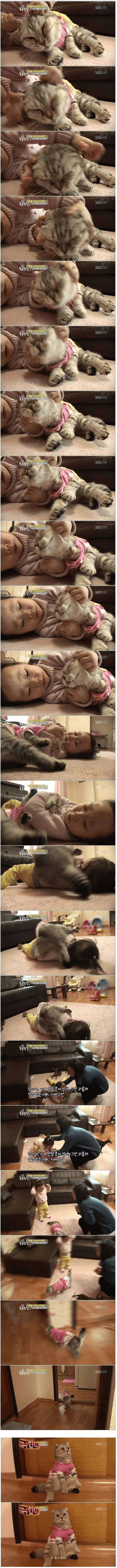 고양이 이름이 엔젤인 이유