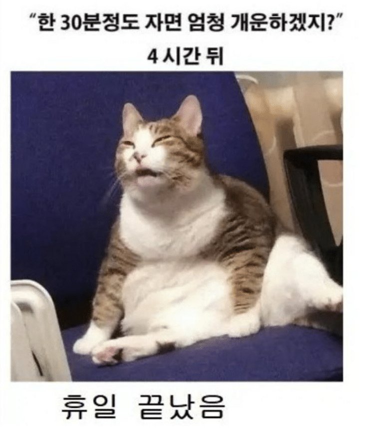 휴일에 낮잠자면 ㅈ되는 이유