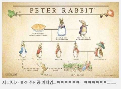 알고보면 무서운 설정인 피터래빗.jpg-3