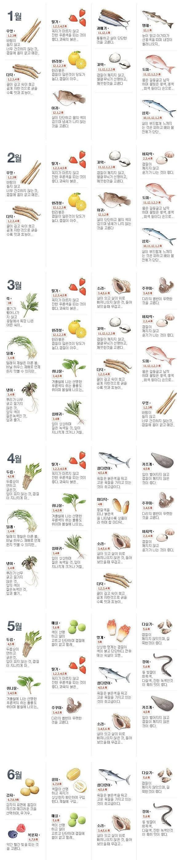 알아두면 상식이라는 월별 제철음식.jpg