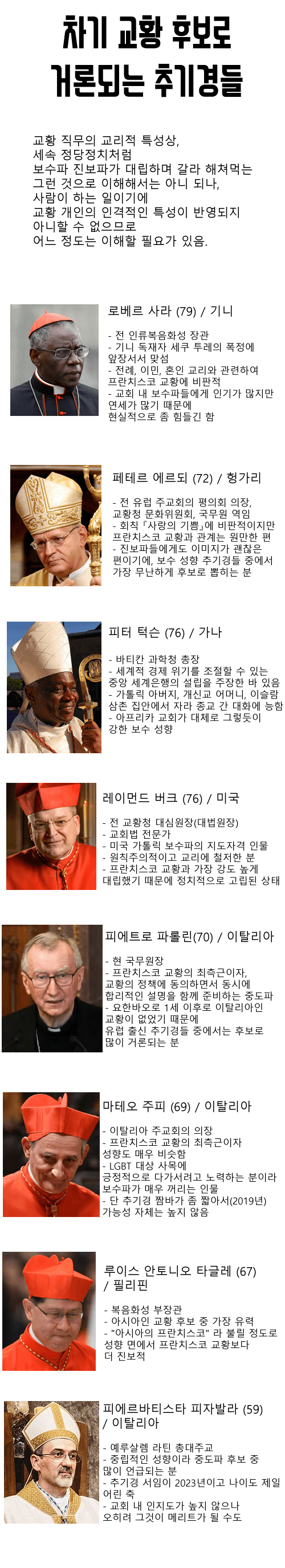 차기 교황 후보로 거론되는 추기경들.jpg
