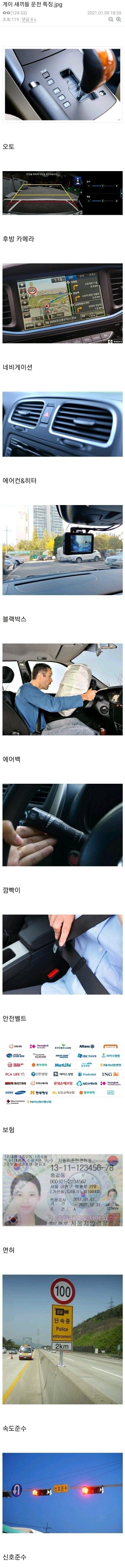 게이들 운전 특.jpg