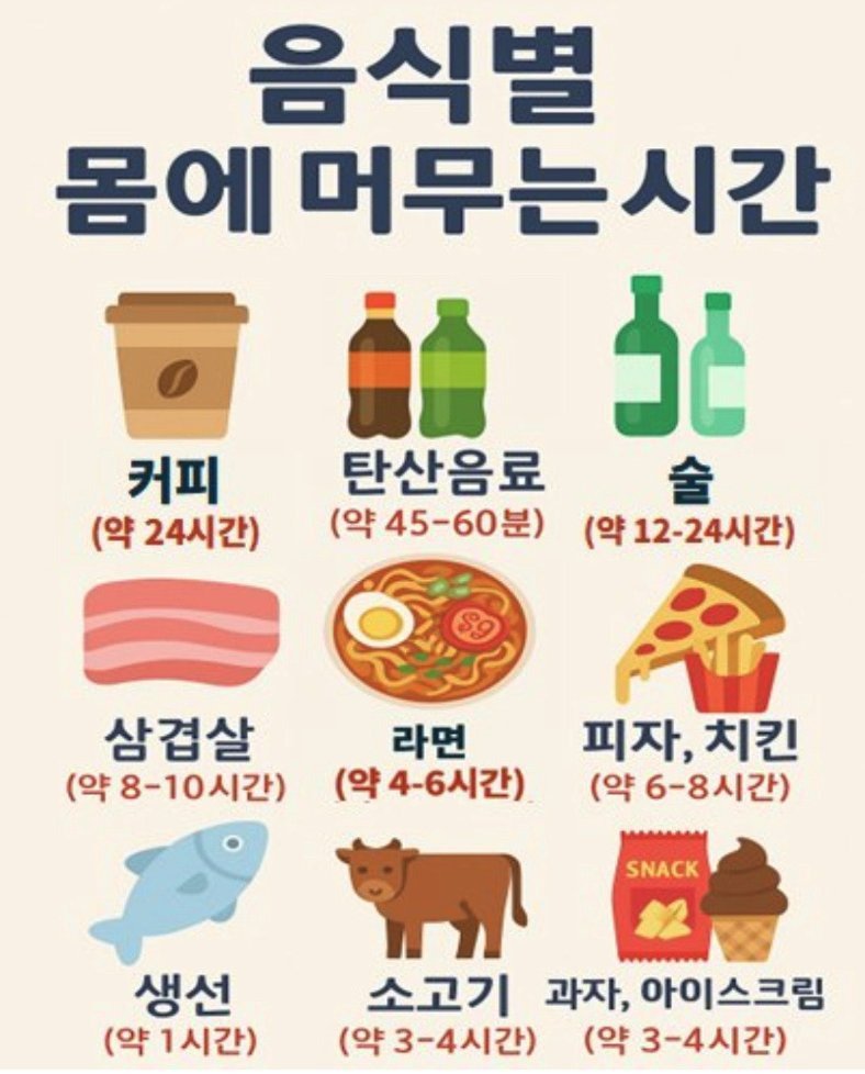 음식이 우리 몸에 머무는 시간