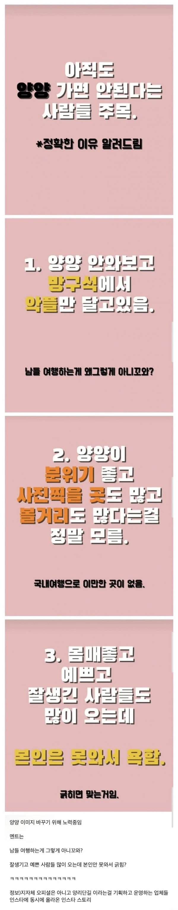 올해 양양 마케팅 근황