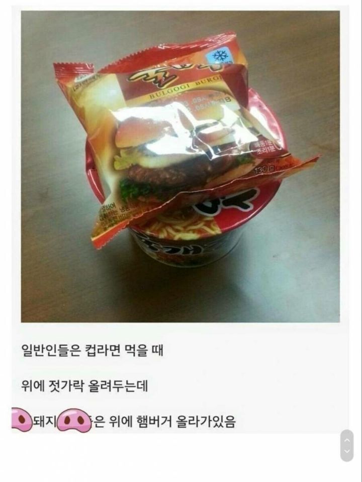 돼지들 컵라면 먹을 때 특징.jpg