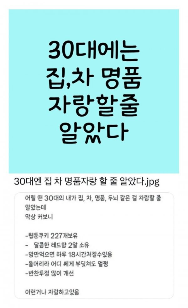 30대에는 집, 차, 명품 자랑할 줄 알았다