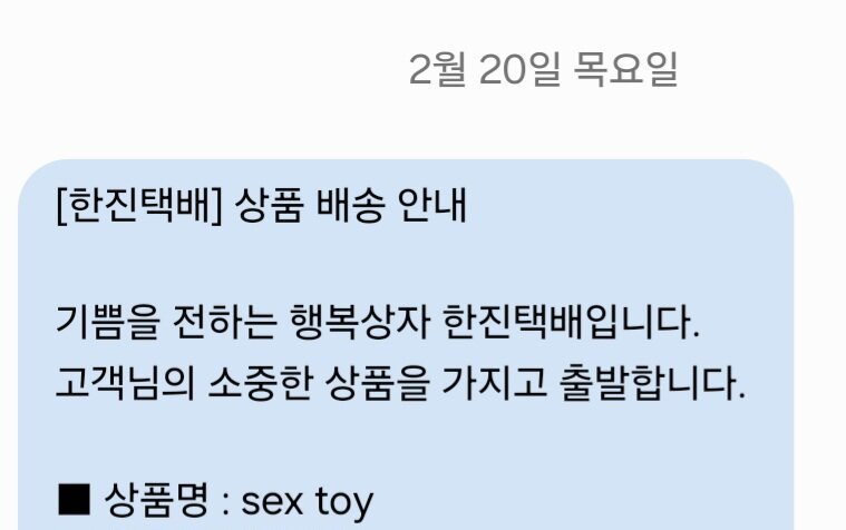 테무에서 성인용품 사면..
