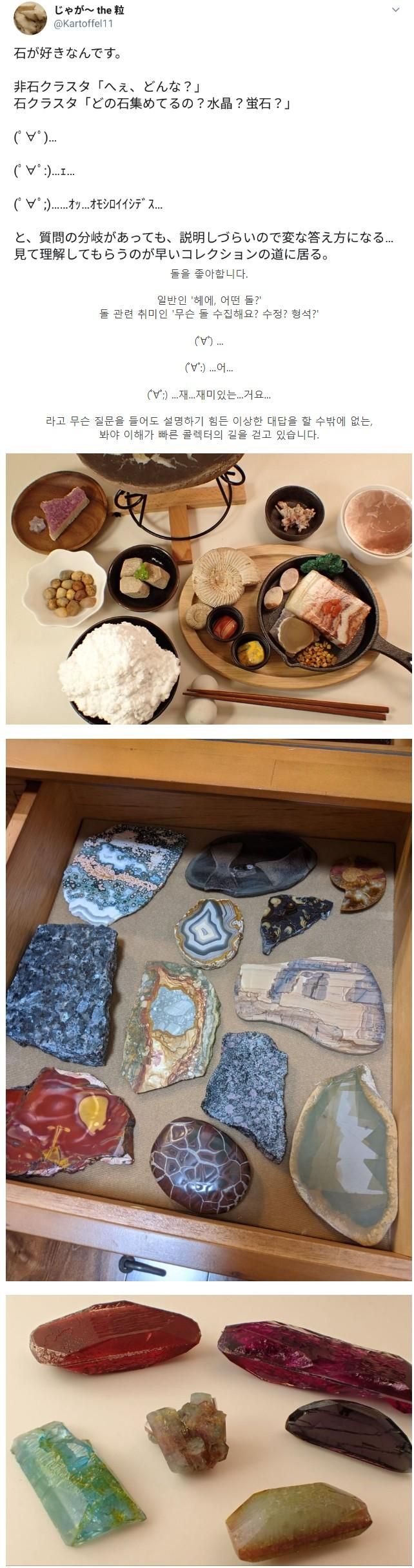 일본의 재미있는 돌 수집가