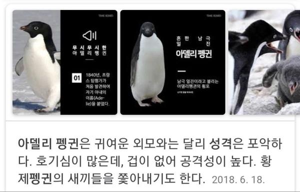 귀여운 외모와 달리 성격은 포악함