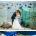 평범한 베트남 신혼부부의 웨딩촬영현장.jpg