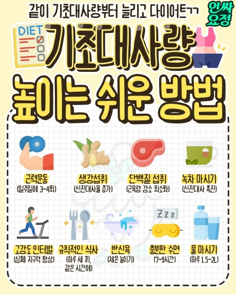 기초대사량 높이는 쉬운 방법