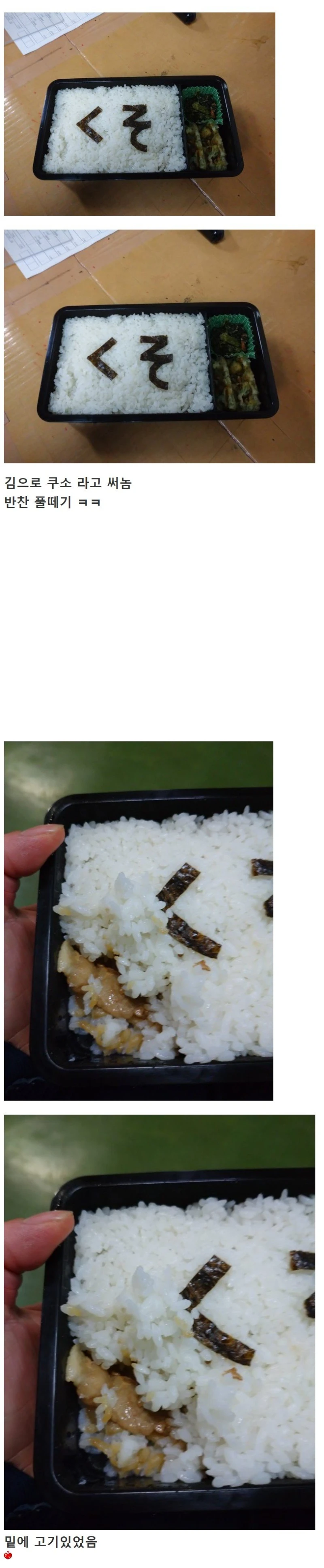 일본인 아내와 부부싸움 후 받은 도시락.jpg