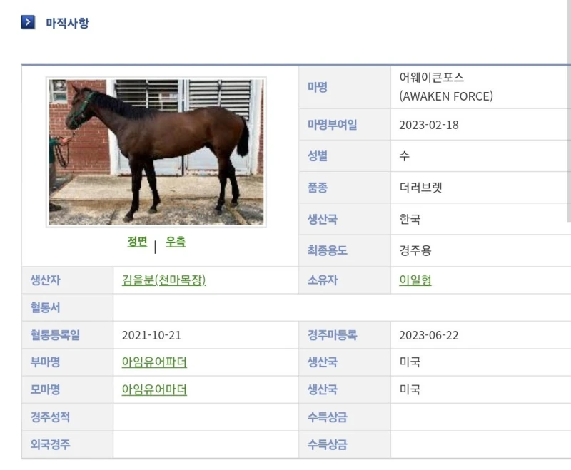 말 이름 원래 이렇게 짓냐?