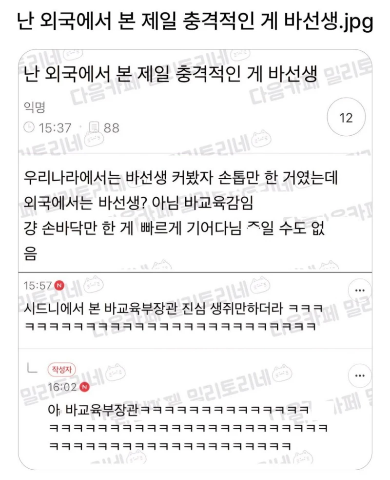 난 외국에서 본 제일 충격적인 게 바선생