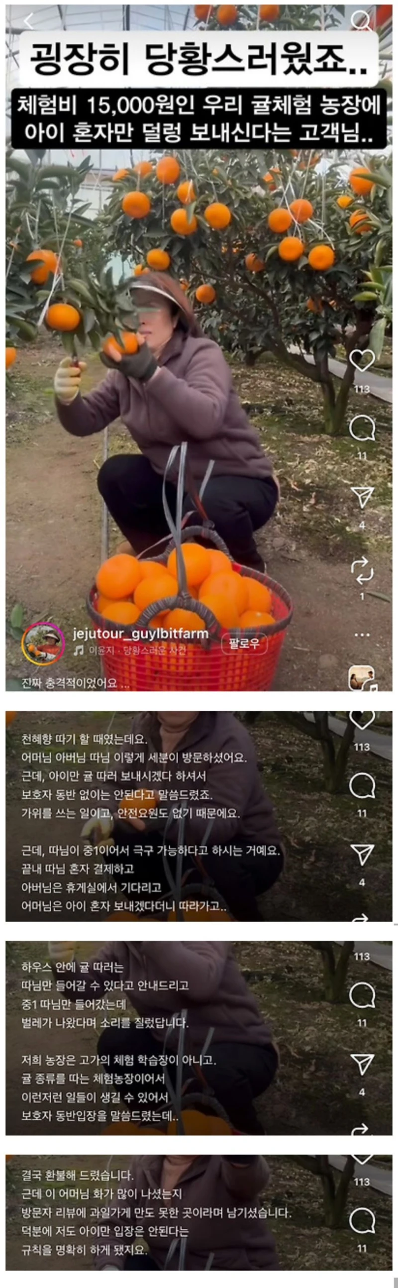 귤체험 농장 근황