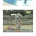 성인 남성을 날게할 수 있는 풍선 갯수