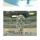 성인 남성을 날게할 수 있는 풍선 갯수