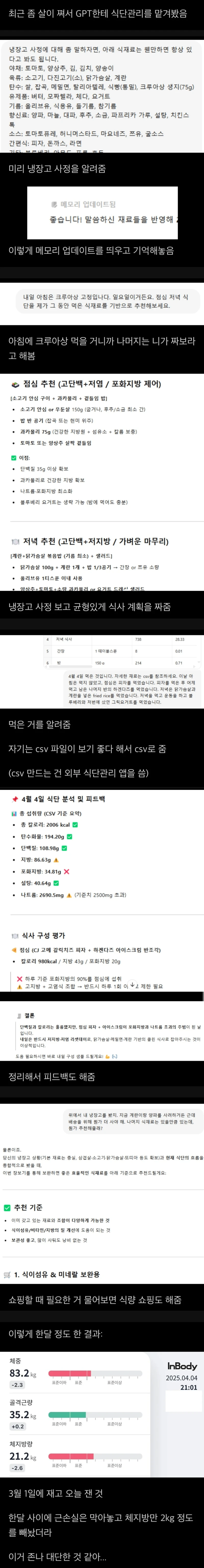 챗gpt로 다이어트 식단관리 받았다는 사람의 후기.jpg