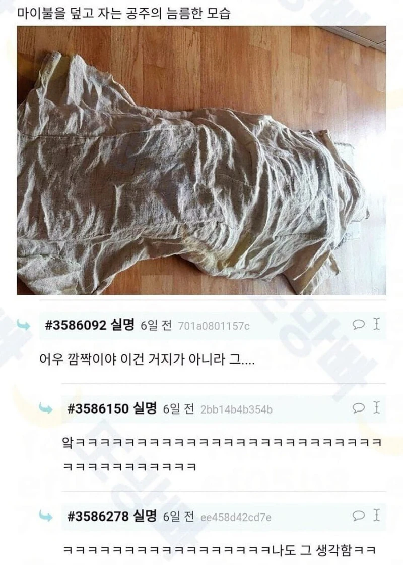여름용 고급 이불을 얻어온 여고생. jpg-2