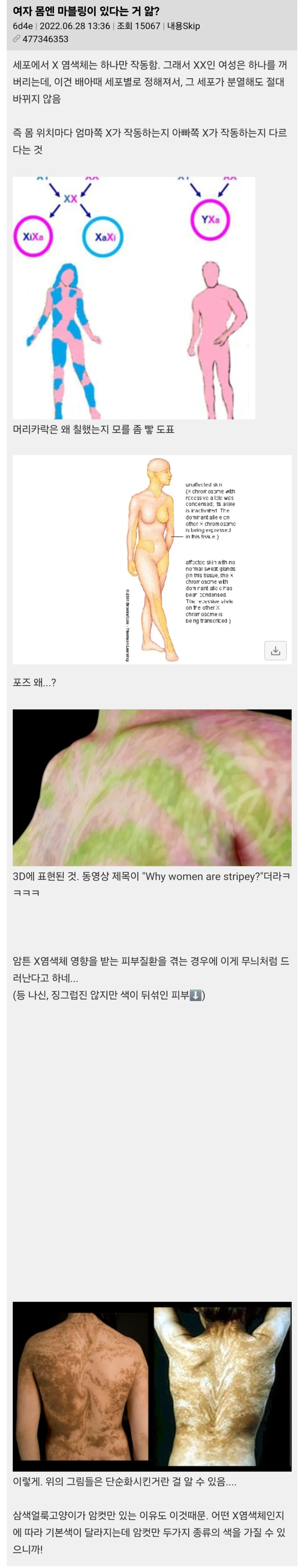 여자 몸엔 마블링이 있다는 거 앎?.JPG