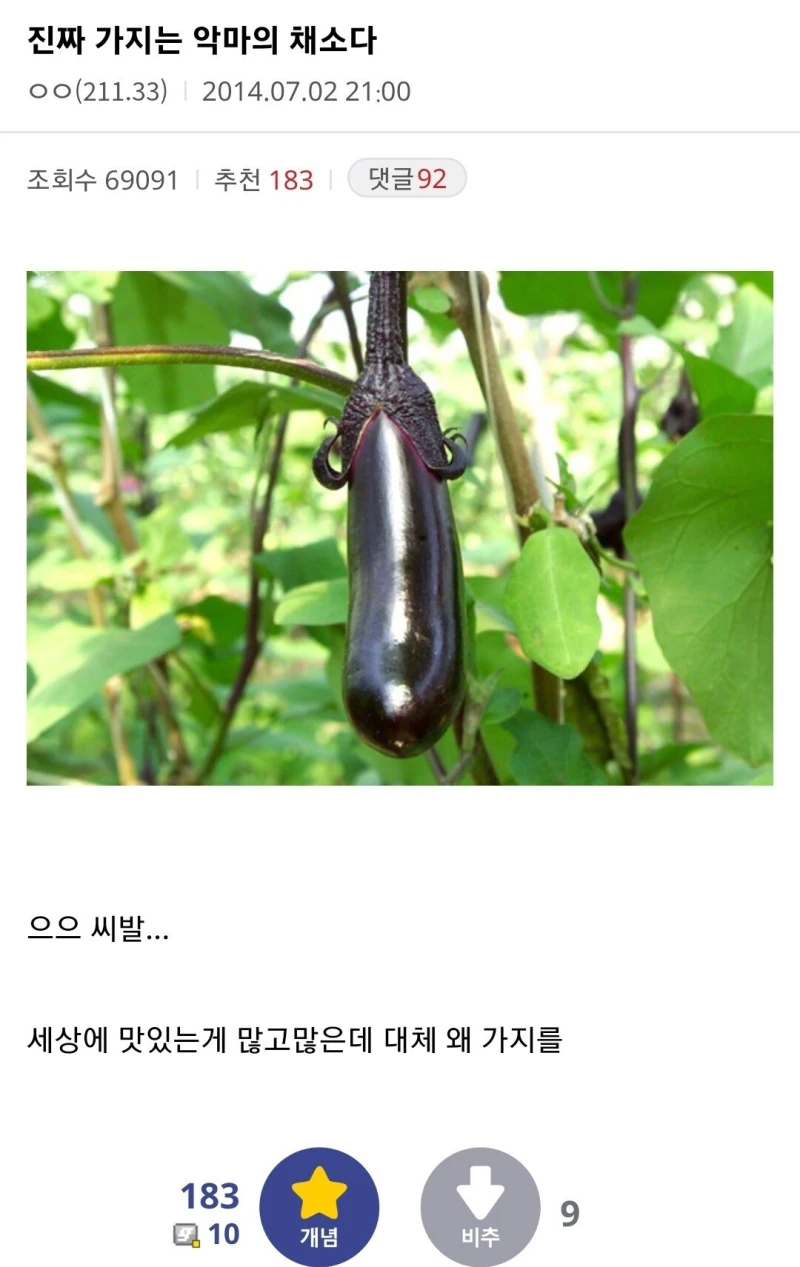 가지 전문가가 알려주는 가지가 우월한 이유