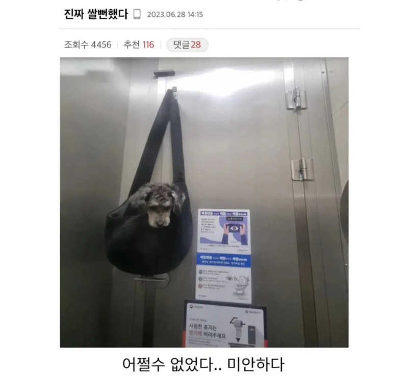 진짜 쌀뻔했다.jpg