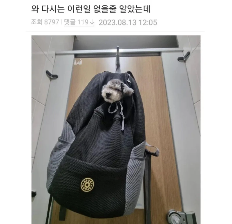 진짜 쌀뻔했다.jpg-2