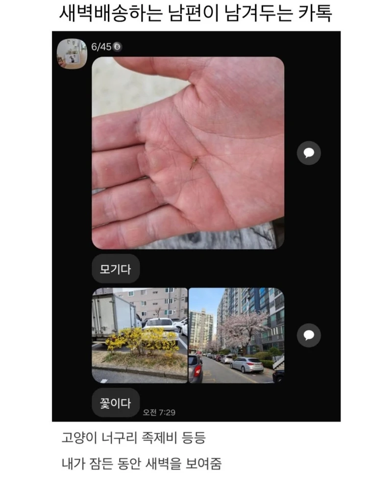 새벽배송하는 남편이 남겨두는 카톡.jpg