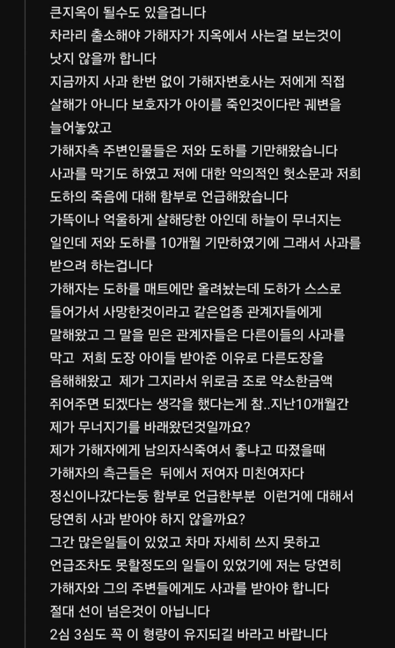 태권도 관장의 학대로 숨진 도하 엄마가 직접 남긴 댓글-2