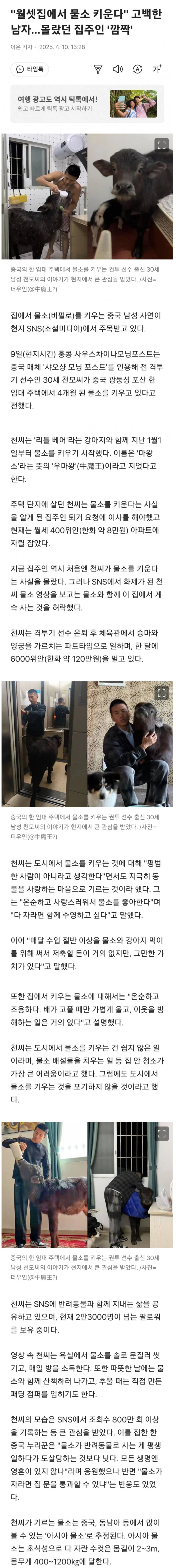 월셋집에서 물소 키우는 남자 ㄷㄷㄷㄷㄷㄷㄷㄷㄷㄷㄷ