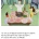 은근 있다는 주식, 코인 안하고 저축만 하는 사람들.