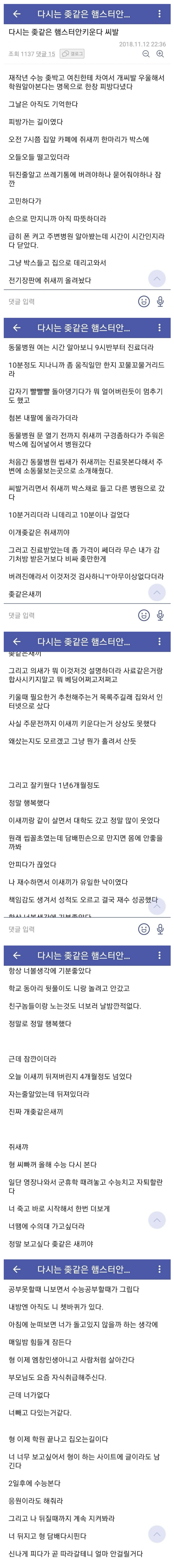 다시는 ㅈ같은 햄스터 안 키운다 ㅅㅂ