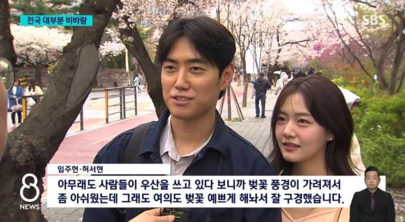오늘 벚꽃구경하러 온 커플 인터뷰...jpg
